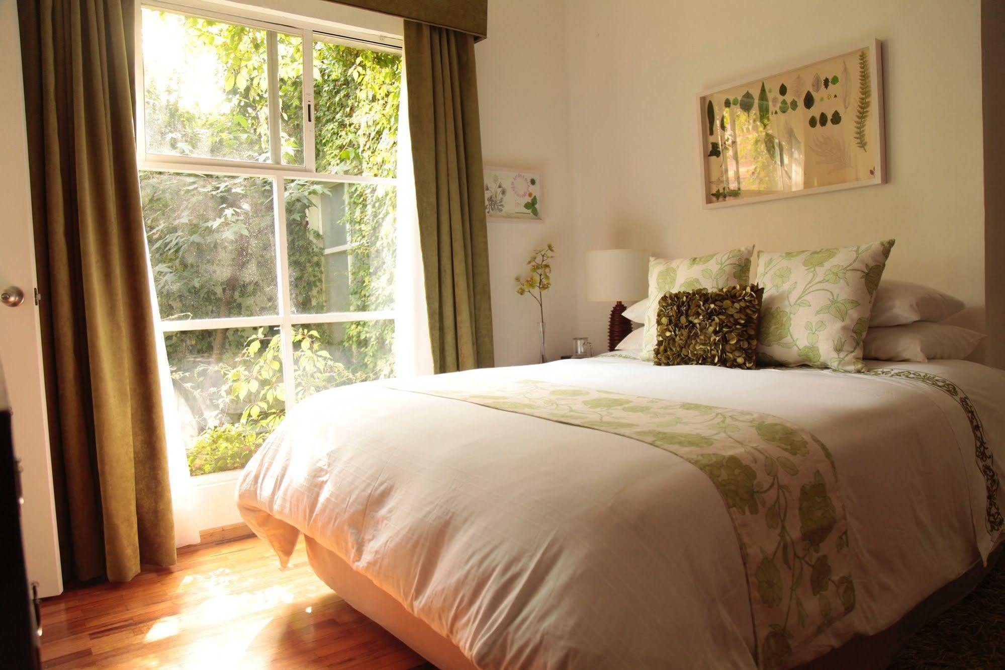 Art Residence San Angel 멕시코 시 외부 사진
